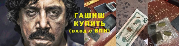 прущие грибы Березники