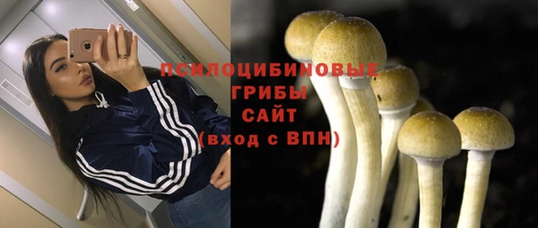 ALPHA-PVP Армянск