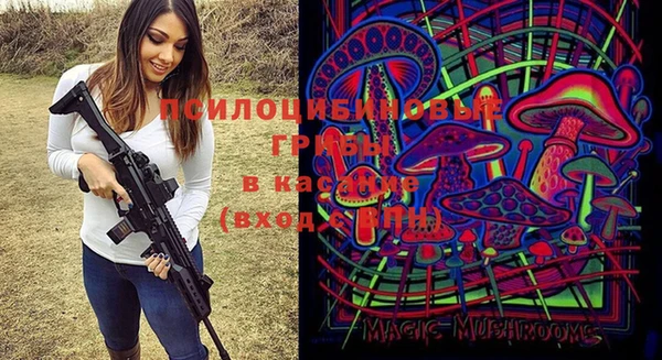 круглые Алексеевка