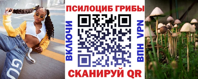 Галлюциногенные грибы MAGIC MUSHROOMS  где купить наркоту  Новомосковск 
